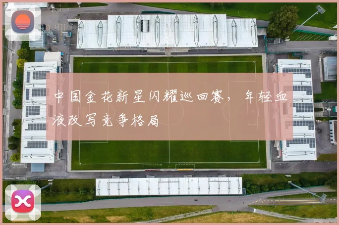 中国金花新星闪耀巡回赛，年轻血液改写竞争格局