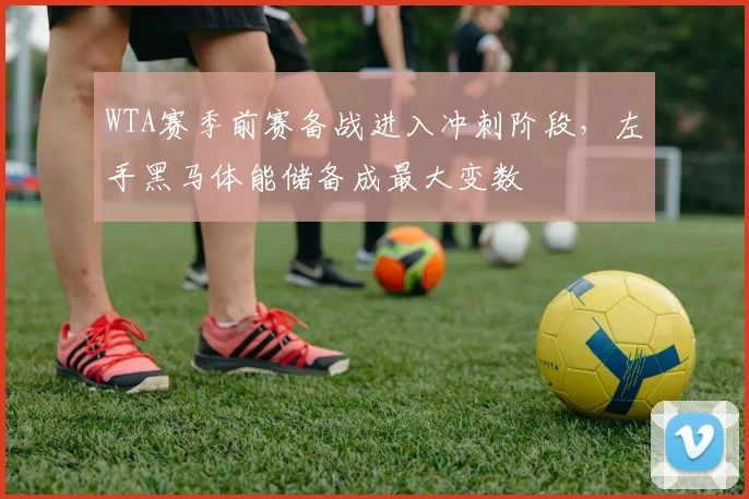 WTA赛季前赛备战进入冲刺阶段，左手黑马体能储备成最大变数