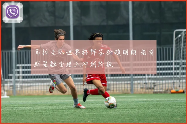 乌拉圭队世界杯阵容渐趋明朗 老将新星融合进入冲刺阶段