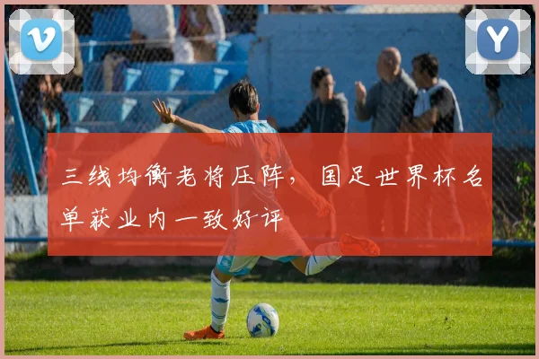 三线均衡老将压阵，国足世界杯名单获业内一致好评