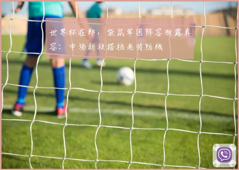 世界杯在即，袋鼠军团阵容渐露真容：中场新核搭档老将防线