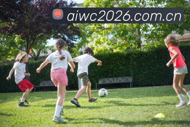 2026世界杯App界面展示